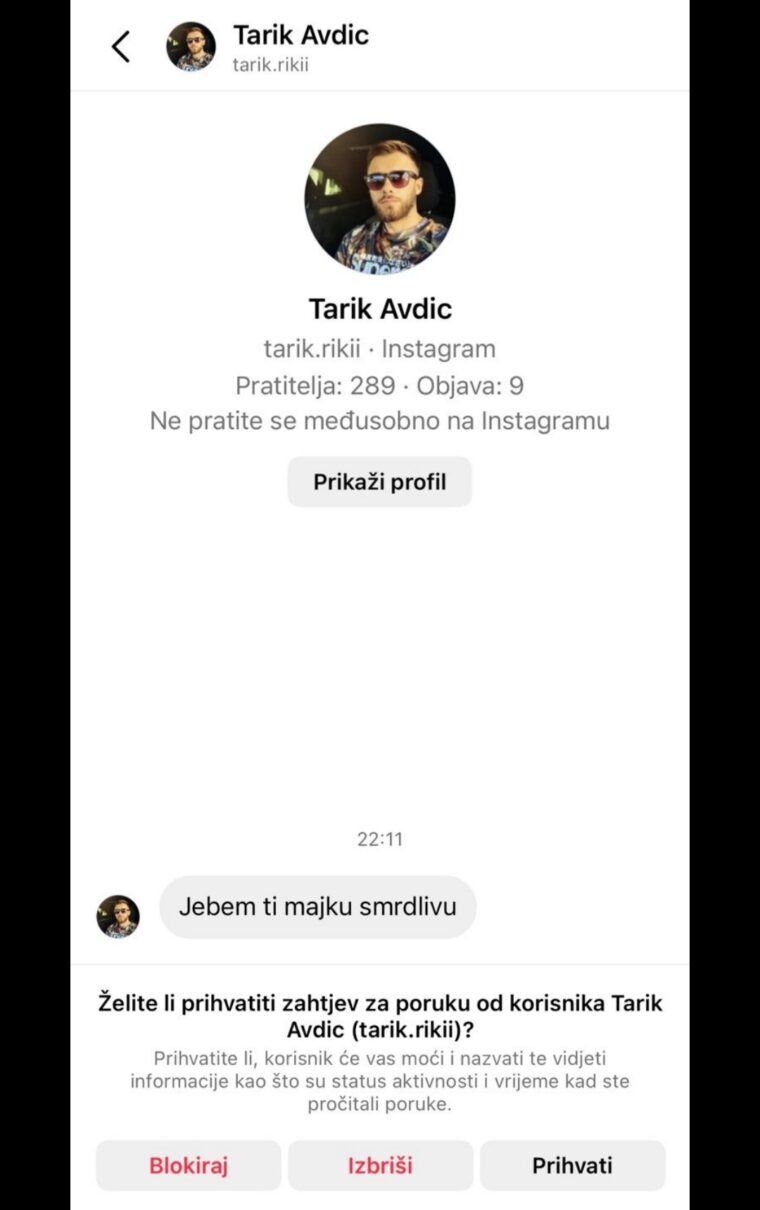 Šefica Kluba SNSD-a Sanja Vulić