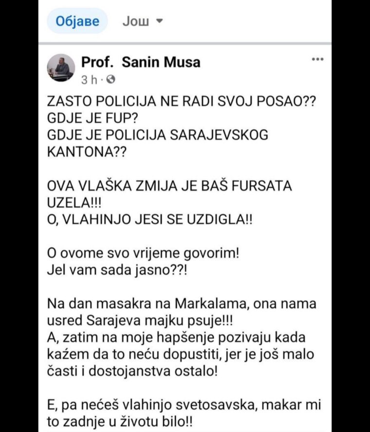 Šefica Kluba SNSD-a Sanja Vulić